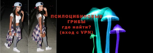 гидра Бронницы