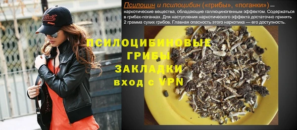 PSILOCYBIN Бугульма