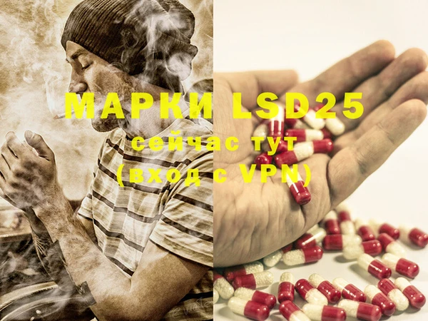 PSILOCYBIN Бугульма