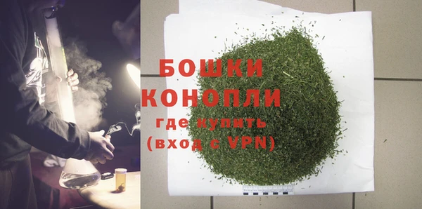 гидра Бронницы