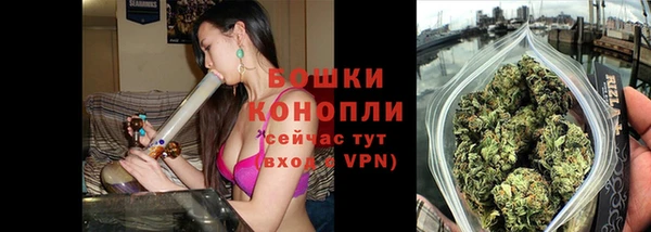 гидра Бронницы