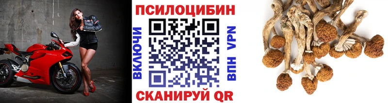 магазин  наркотиков  Киреевск  Псилоцибиновые грибы мицелий 